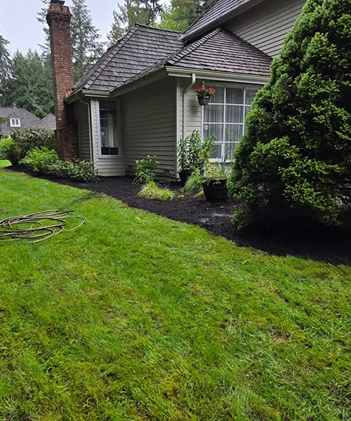 Landscape Maintenance in Bellevue 